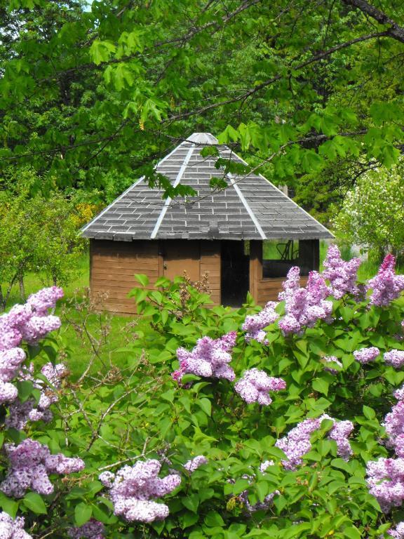 Lake Trail Guesthouse Κάμπερλαντ Εξωτερικό φωτογραφία