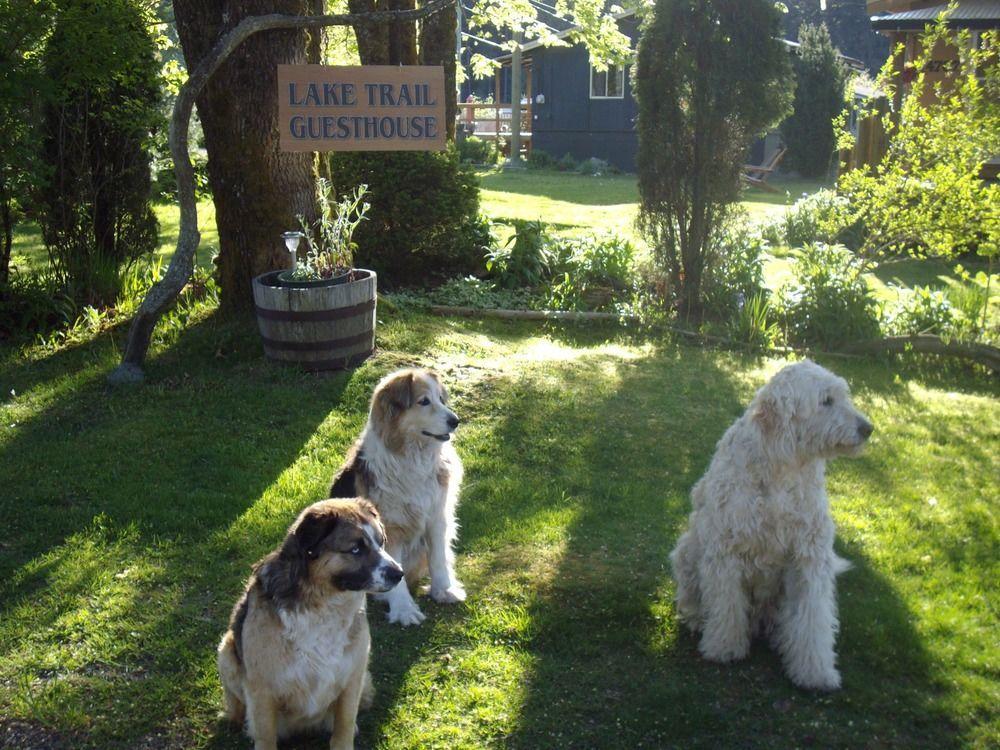 Lake Trail Guesthouse Κάμπερλαντ Εξωτερικό φωτογραφία